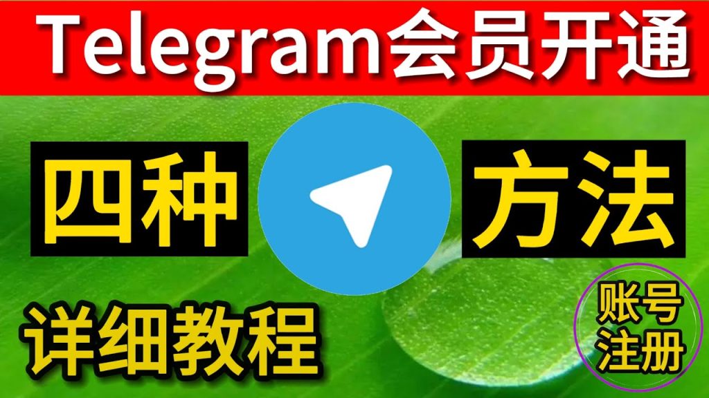 Telegram会员开通方法指南